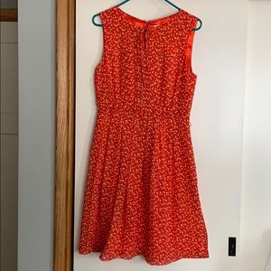Polka dot red dress